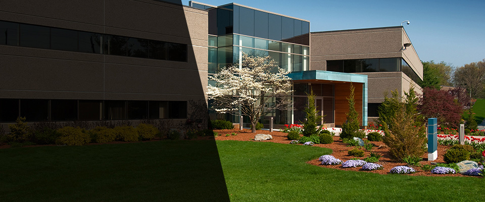 Whitinsville Landscapers