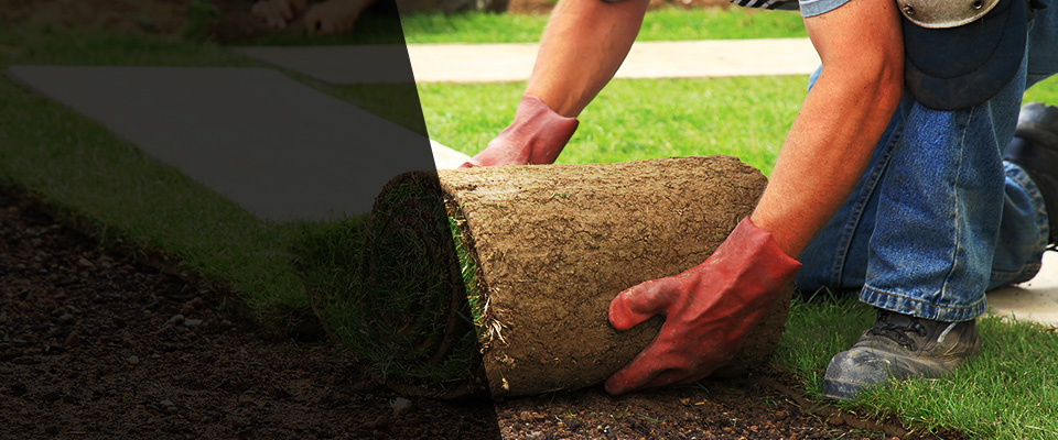 Whitinsville Landscapers